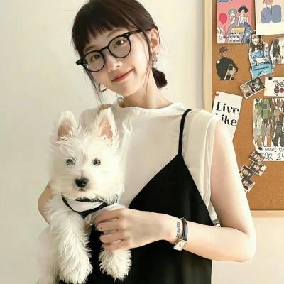 继承者计划
