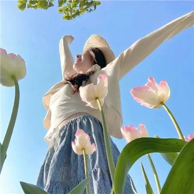 白眉大侠