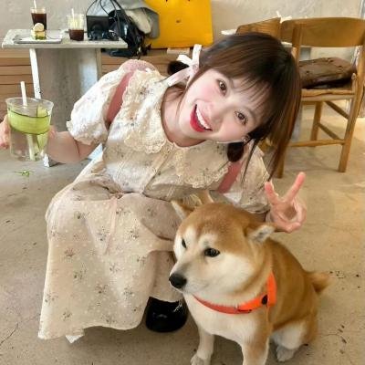 逗逗迪迪之美梦年年